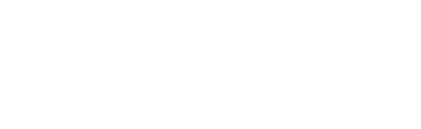 Bloodborne