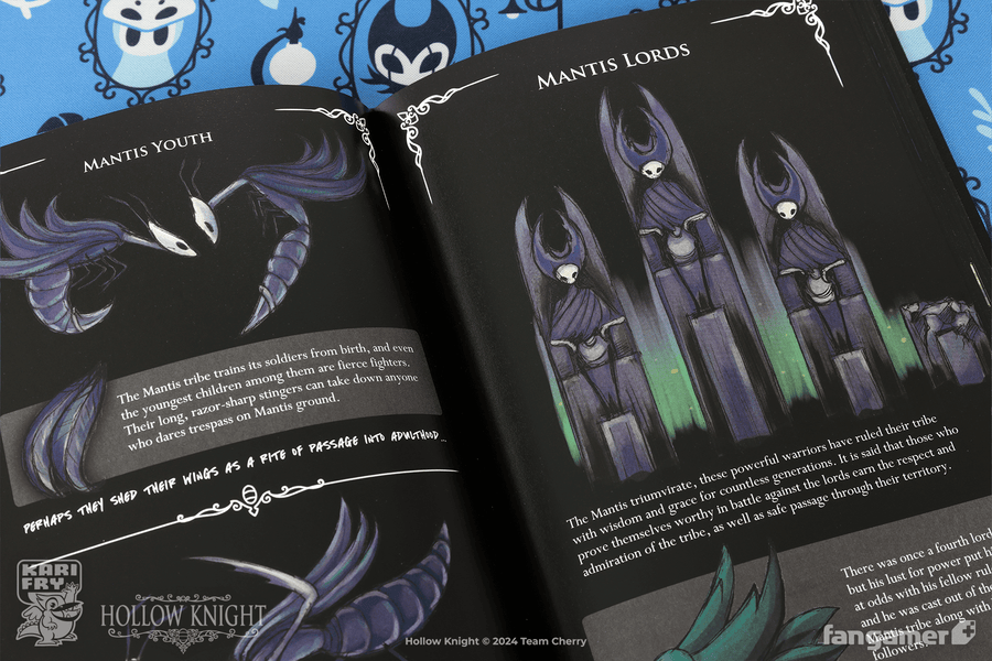 Wanderer's Journal - Hollow Knight