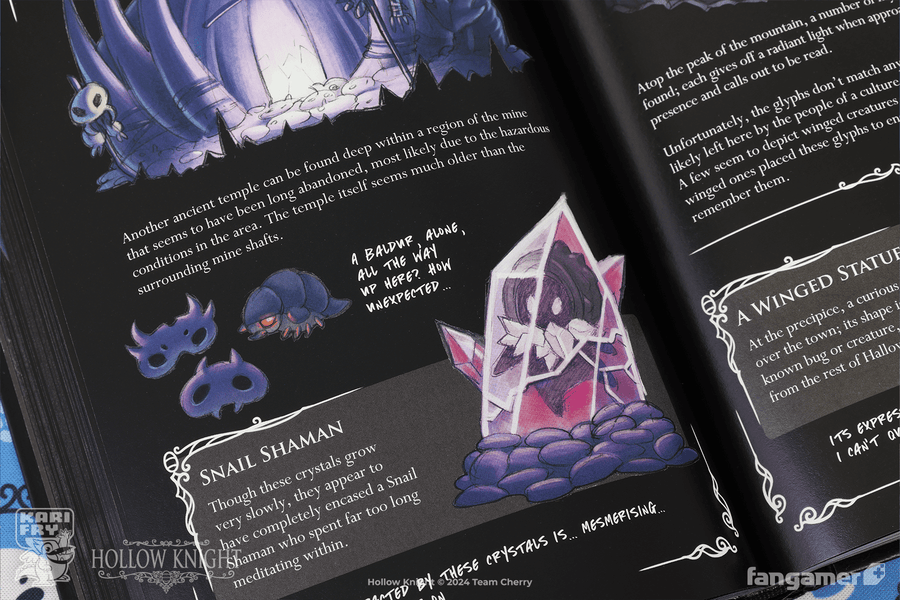 Wanderer's Journal - Hollow Knight