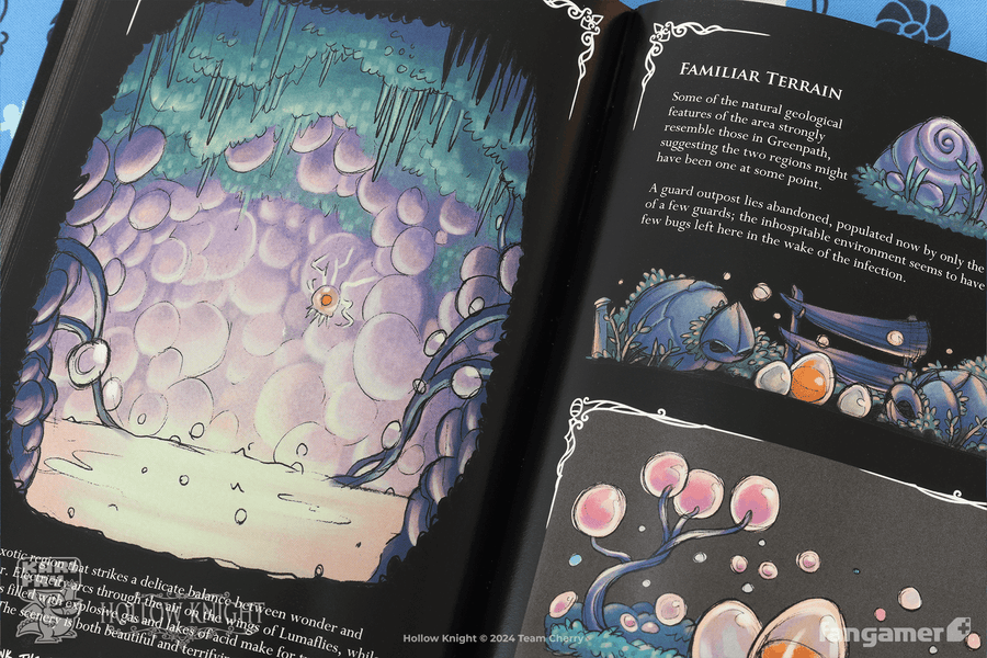 Wanderer's Journal - Hollow Knight